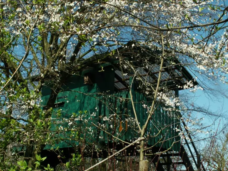 Baumhaus
