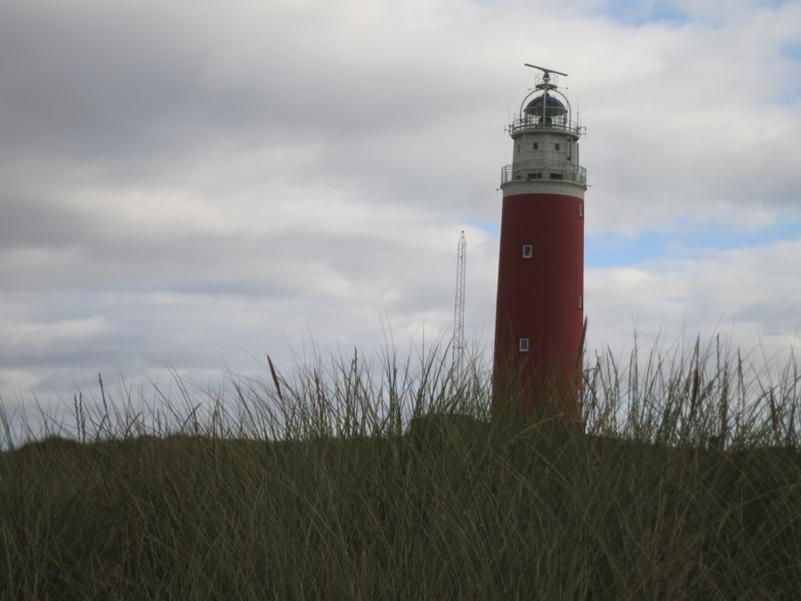 Phare Eierland derrière les herbes des dunes à Texel