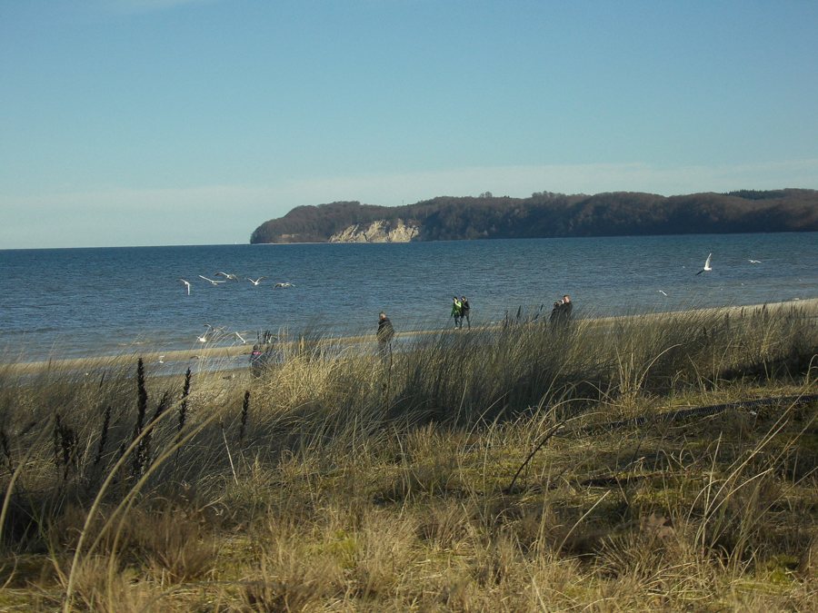 Plage bordée de dunes, avec la mer et des promeneurs